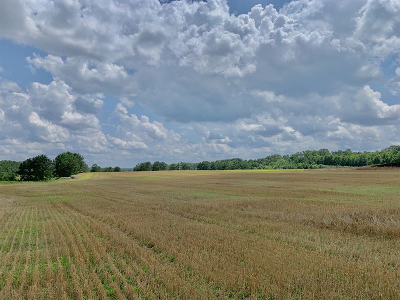 Beautiful Lake Tract in Pasture : Griffin : Spalding County : Georgia