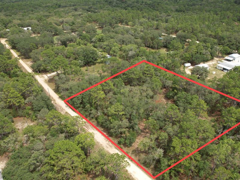 526 E Pilar St, Hernando, FL 34442 : Hernando : Citrus County : Florida