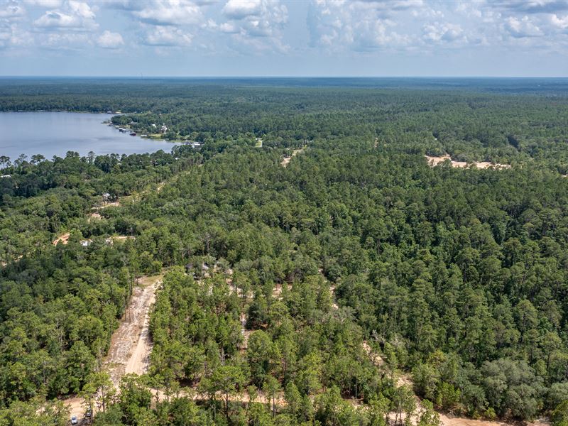 Price Drop, Close to Georges Lake : Florahome : Putnam County : Florida