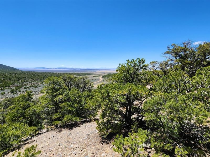 2029 Sylvia Rd, Ft Garland, Co 811 : Fort Garland : Costilla County : Colorado