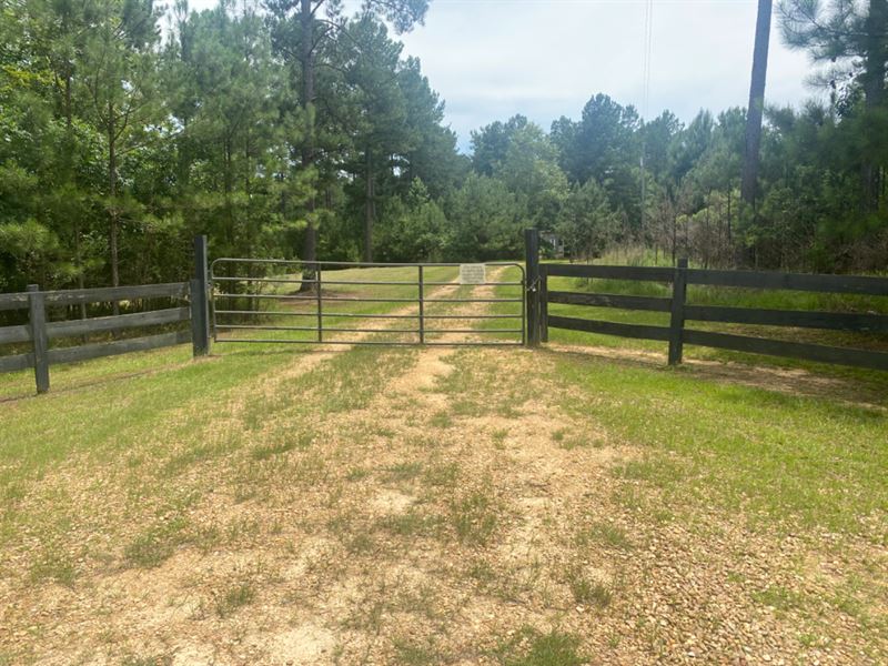 Small Acreage National Forest Getaw : Bude : Jefferson County : Mississippi
