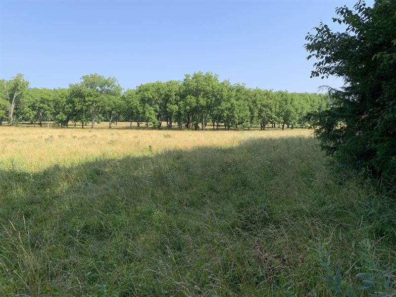 13 Acres Locust Grove : Locust Grove : Independence County : Arkansas