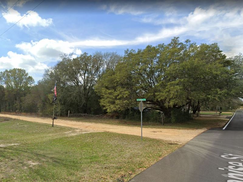.22 Acre Lot Close to Lake Grandin : Interlachen : Putnam County : Florida