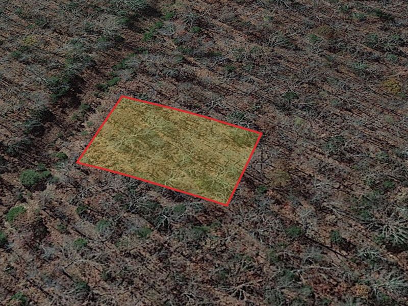 .3 Ac Izard County, Ar, $49 Down : Horseshoe Bend : Izard County : Arkansas