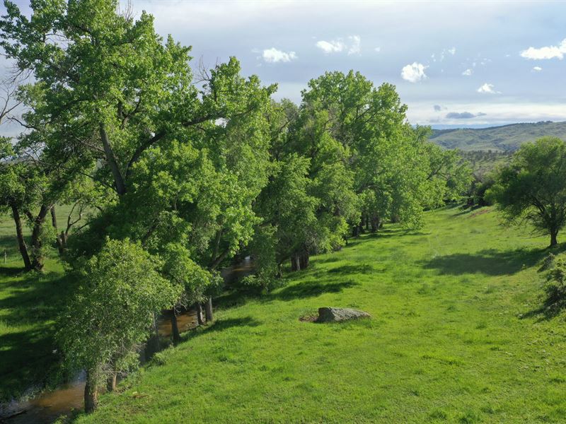 Redstone Creek Lot 2 : Loveland : Larimer County : Colorado