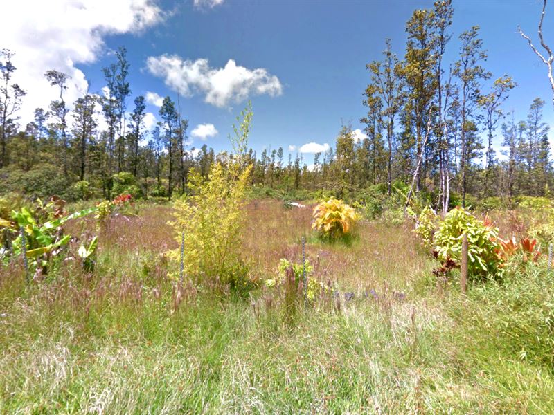 Agriculture Haven in Pahoa, HI : Pahoa : Hawaii County : Hawaii