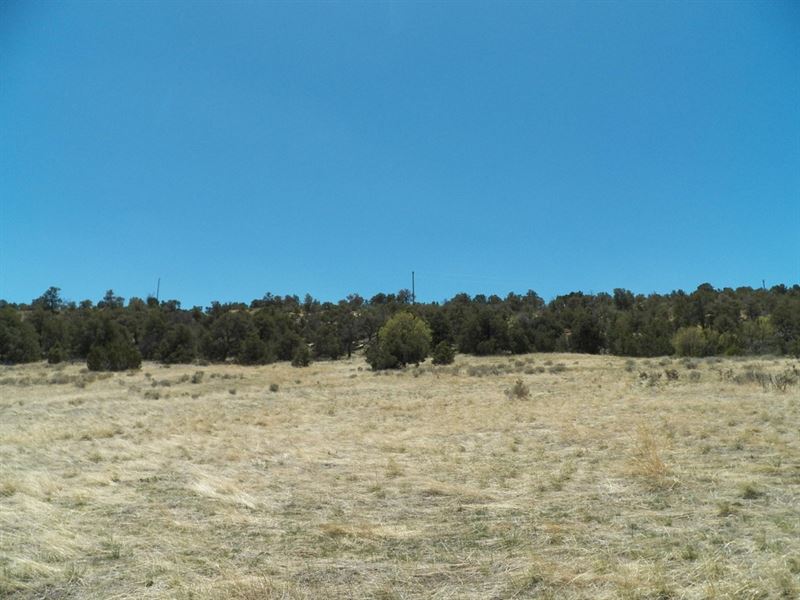 Badger Rd, Walsenburg, Co 81089 : Walsenburg : Huerfano County : Colorado