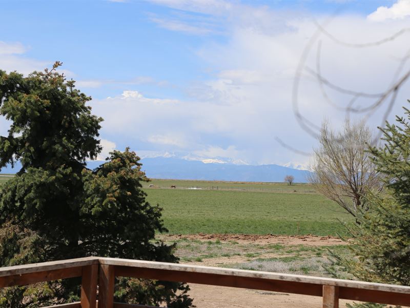 38973 County Road 21 : Fort Collins : Weld County : Colorado