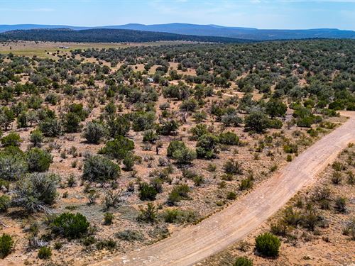 1 of 2 Gone, Buy Now- Pay 2026 : Seligman : Yavapai County : Arizona