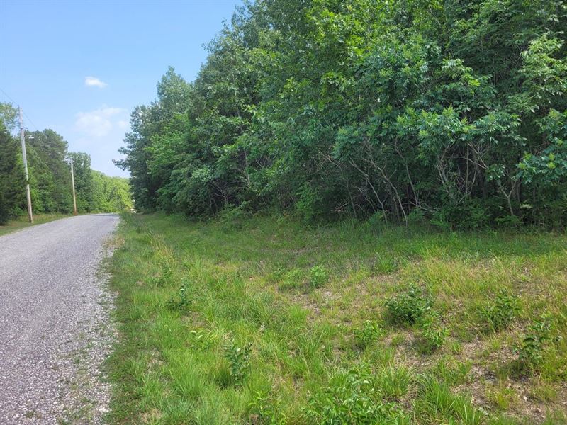 Spring Woods : Dittmer : Jefferson County : Missouri