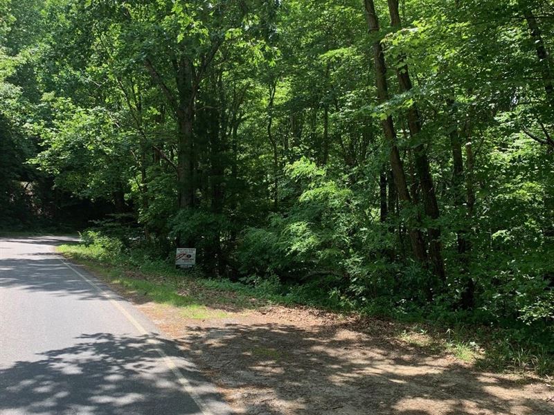 57 Old Mud Creek Rd : Scaly Mountain : Macon County : North Carolina
