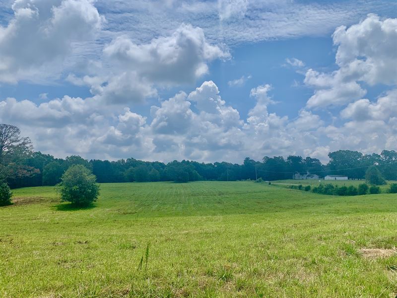 Rolling Pasture, Multiple Homesites : Griffin : Spalding County : Georgia
