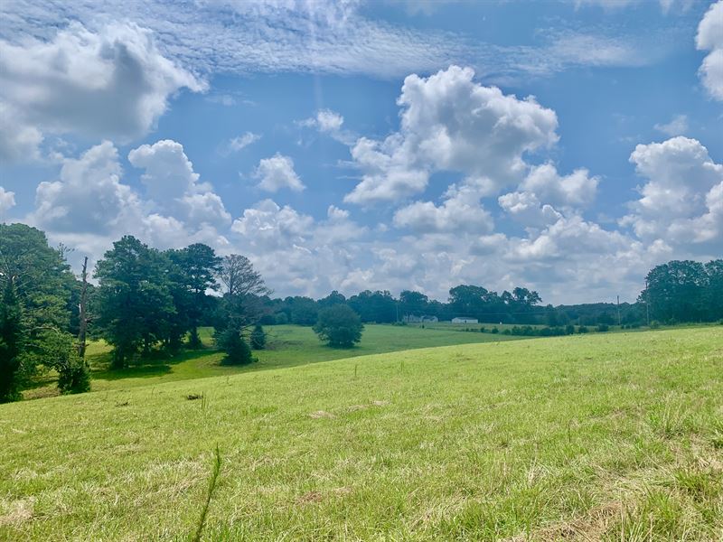 Rolling Pasture, Barn : Griffin : Spalding County : Georgia