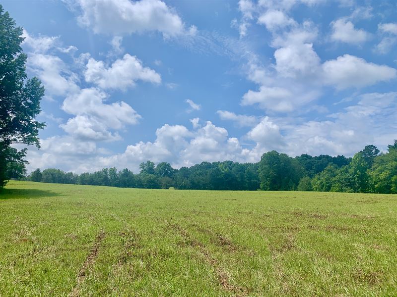 Beautiful Pasture Lot in Griffin : Griffin : Spalding County : Georgia
