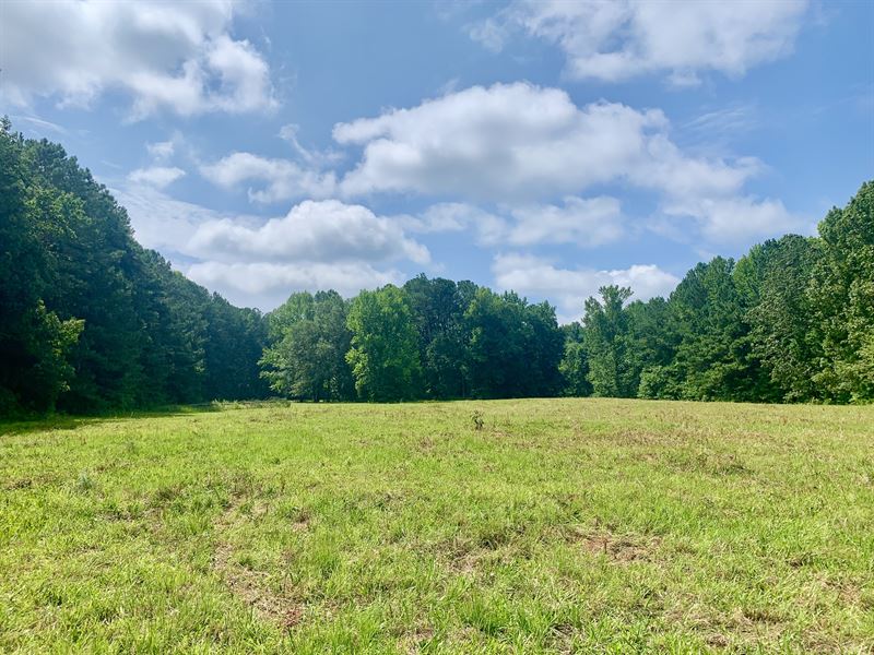 Private Pasture, Creek : Griffin : Spalding County : Georgia