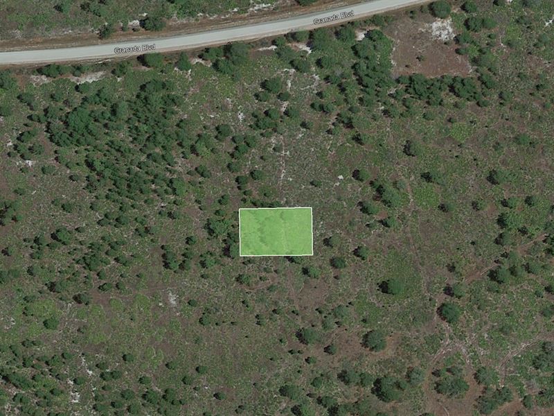 Florida's Centerpiece Community : Sebring : Highlands County : Florida