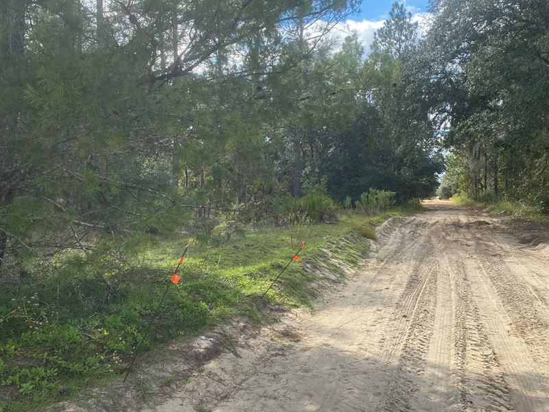 Beautiful Land, Access To Power : Interlachen : Putnam County : Florida