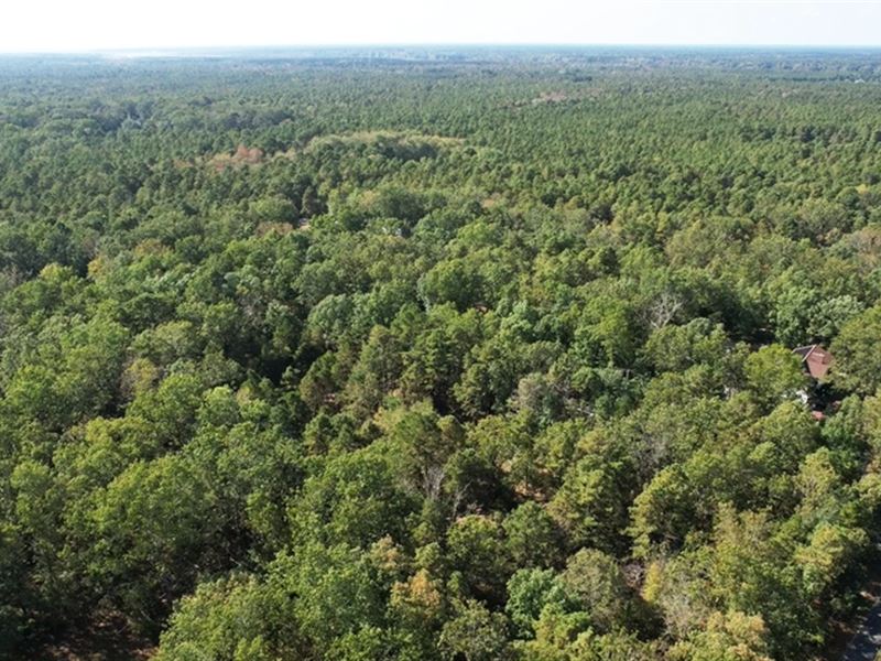 217K Sqft in Mullica Twp, NJ : Mullica Twp : Atlantic County : New Jersey