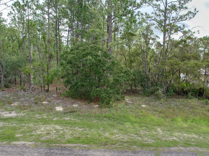 6477 N Dunlap Ter, Citrus Springs : Citrus Springs : Citrus County : Florida