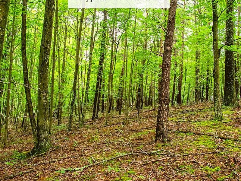 2 Acres Only $1 Down, $499/Mo : Kirby : Hampshire County : West Virginia