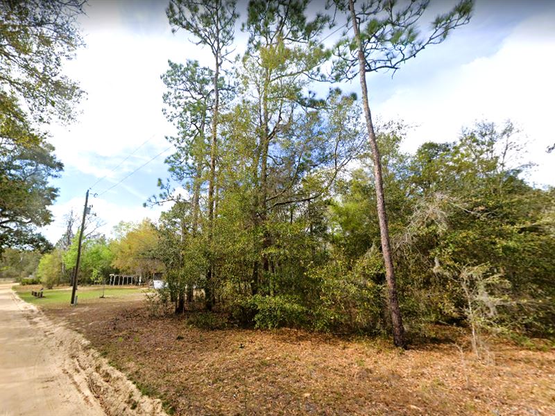 Serenity Outside The Big City : Interlachen : Putnam County : Florida