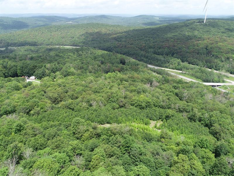 8.25 Acres in Broome County, NY : Windsor : Broome County : New York