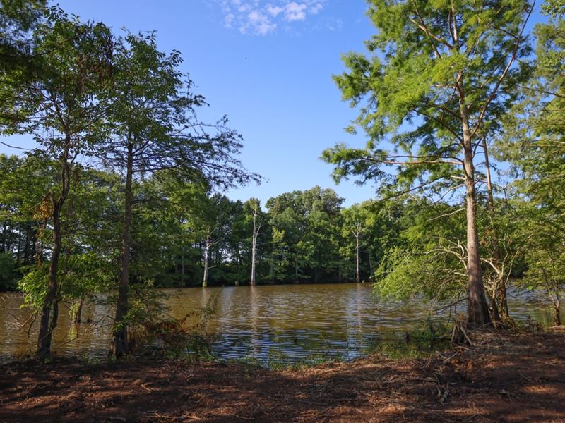 La, Caldwell 3 Acres : Columbia : Caldwell Parish : Louisiana