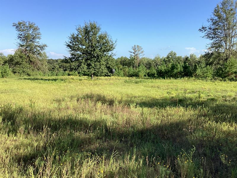 Pond Creek Rd Lots, Lot for Sale in Alabama, 353660 LOTFLIP