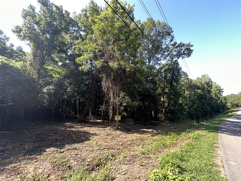 Palmer Ave : Georgiana : Butler County : Alabama