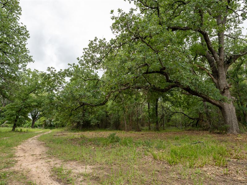 6 Acres in Milam County, TX : Buckholts : Milam County : Texas