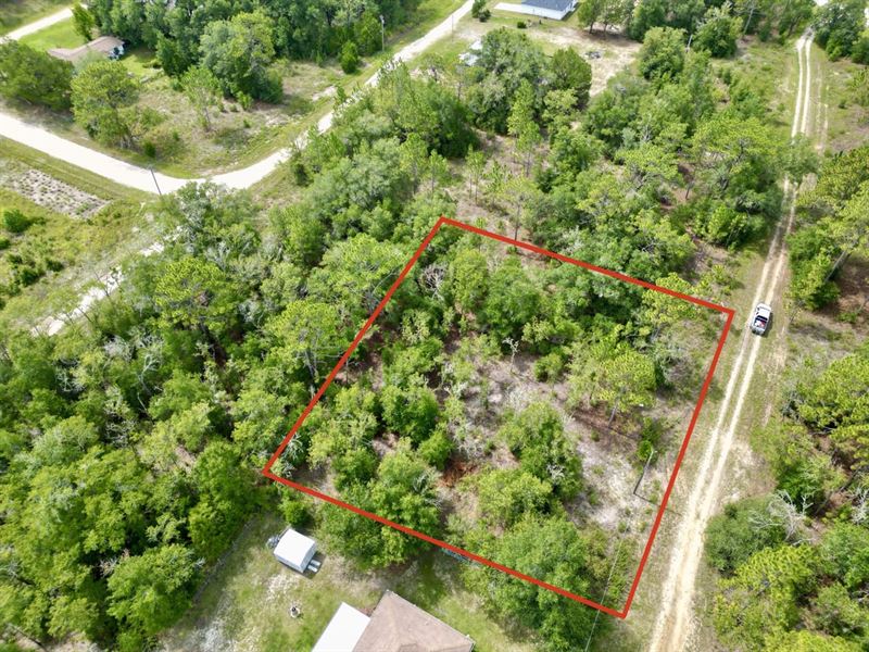Rainbow Park Homesite : Ocala : Marion County : Florida