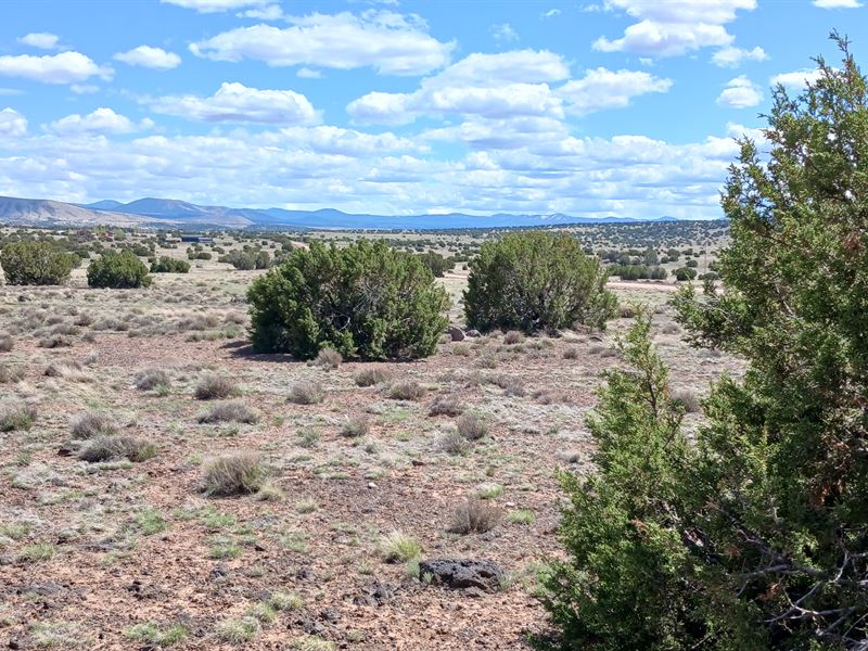 $169/Mo Gravel Rd 2X Lot Concho, AZ : Concho : Apache County : Arizona