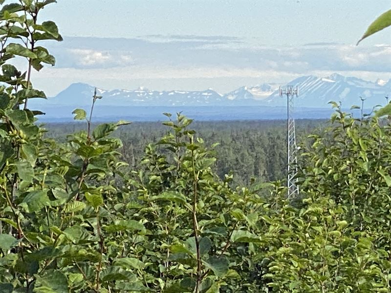 1.52 Acres Close to Nikiski Beach : Nikiski : Kenai Peninsula Borough : Alaska