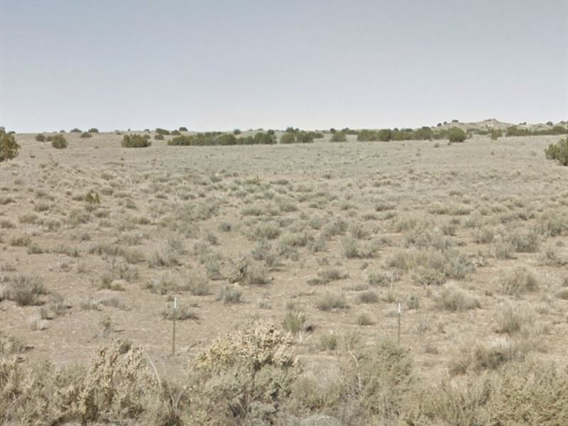 7 Acres New Mexico Lot : Belen : Valencia County : New Mexico