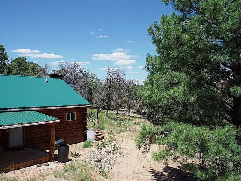 Lindrith Cabin : Lindrith : Rio Arriba County : New Mexico