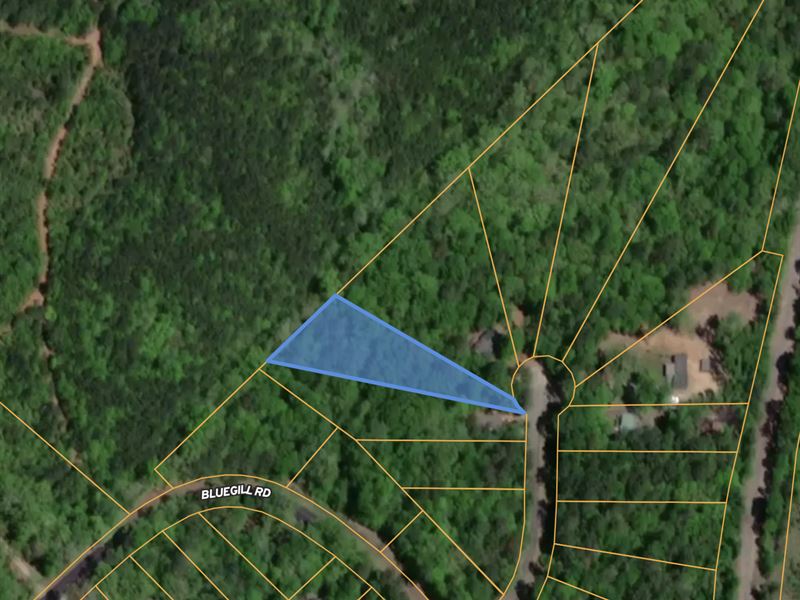 Yards From Lake Sinclair : Eatonton : Putnam County : Georgia