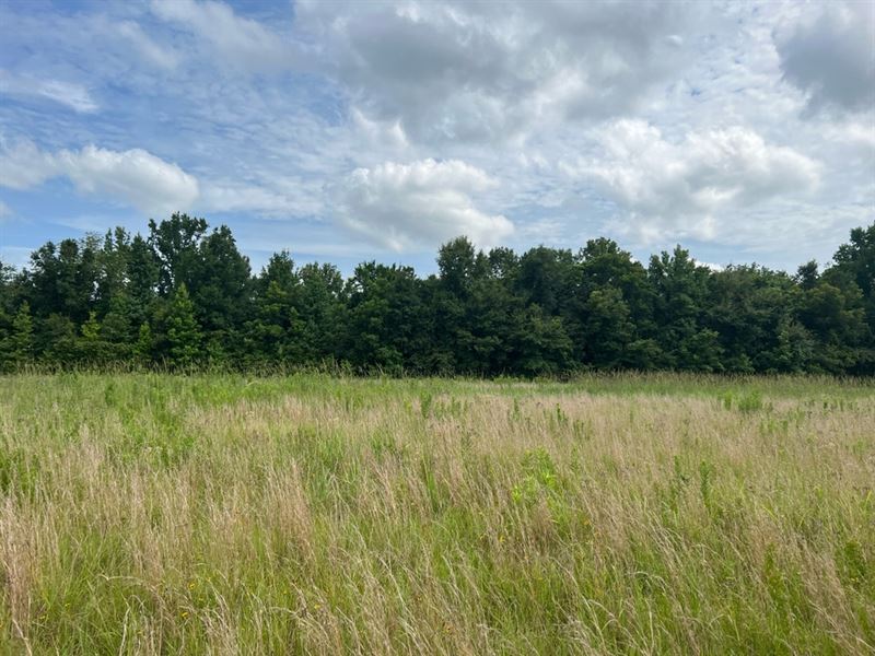 La, Concordia 1.11 Acres : Monterey : Concordia Parish : Louisiana