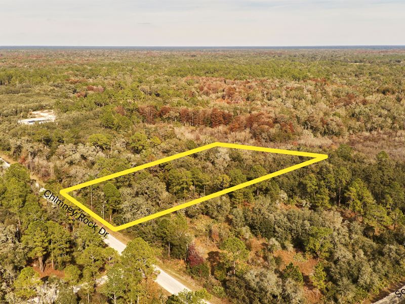 Nature Lover's Haven, 0.522 Acre : Webster : Hernando County : Florida