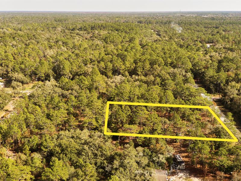 Prime 0.507 Acre Buildable Lot : Webster : Hernando County : Florida