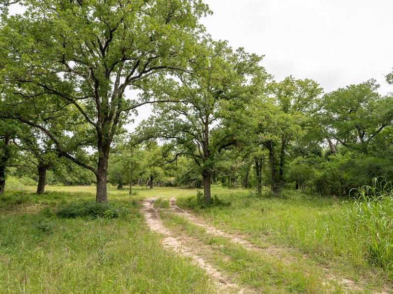 7.458 Acres in Milam County : Buckholts : Milam County : Texas