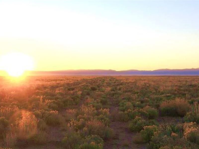 Escape to Serene Beauty in Colorado : San Luis : Costilla County : Colorado
