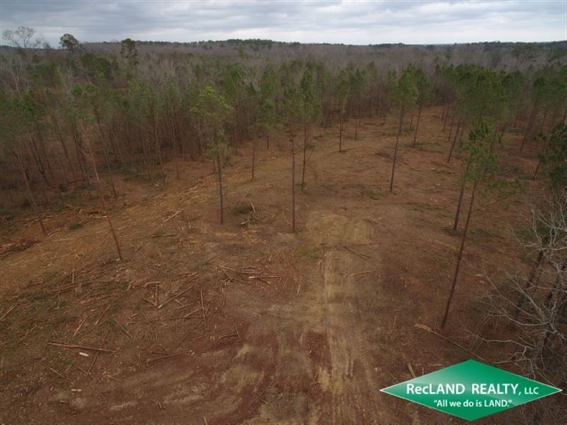 7.6 Ac, Wooded Tract for Home : Point : Union Parish : Louisiana