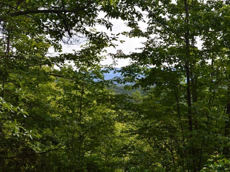 Mountain Laurel Drive : Salem : Greenville County : South Carolina