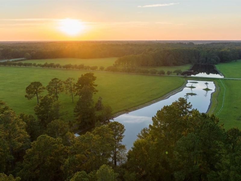 Willow Pond Lane : Ochlocknee : Thomas County : Georgia