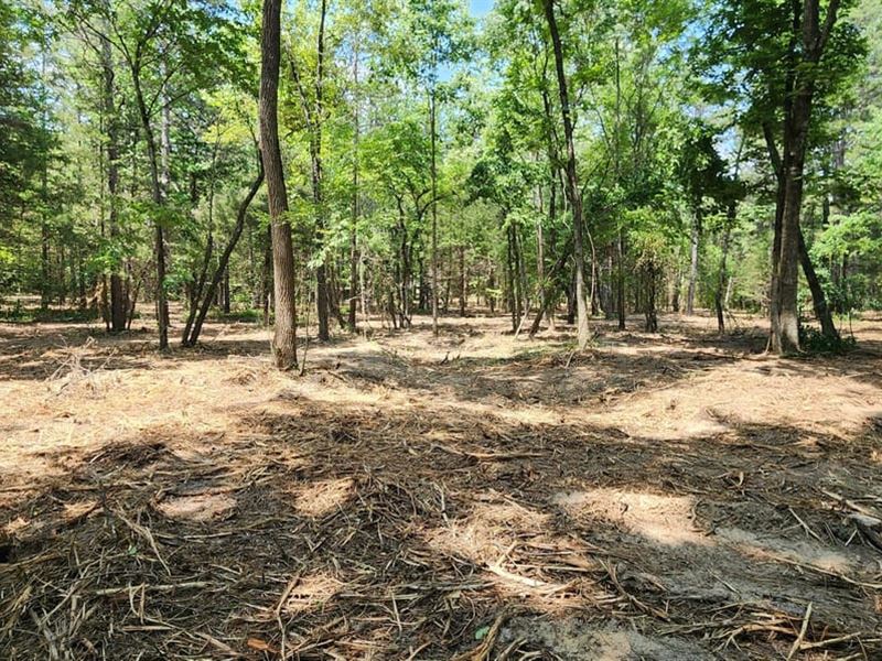 6.41 with Appx 500' of Mill Cre : Evening Shade : Sharp County : Arkansas