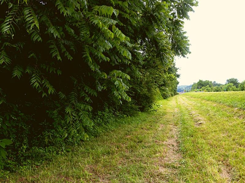 .83 Acre Only 5 Min to Pikeville : Pikeville : Bledsoe County : Tennessee