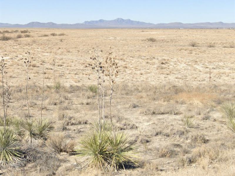 Cheap Arizona Land, $850 : Bisbee : Cochise County : Arizona