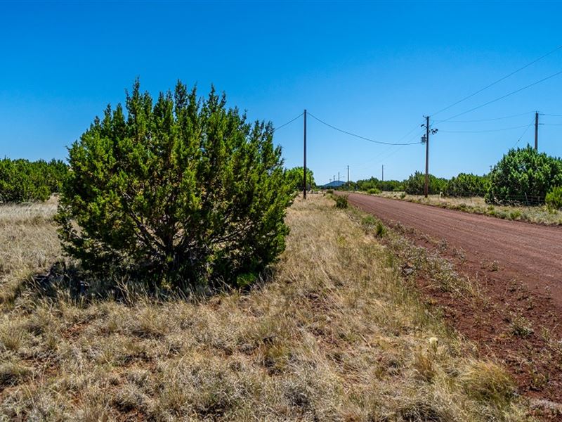 Lot in White Mountain Park Estates : Show Low : Navajo County : Arizona