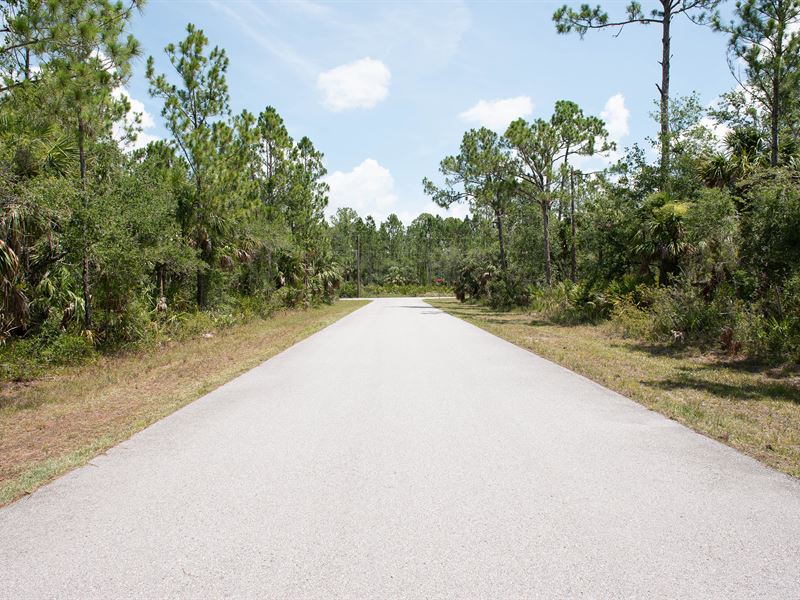 Paved Road Access, Power Nearby : Port Charlotte : Charlotte County : Florida
