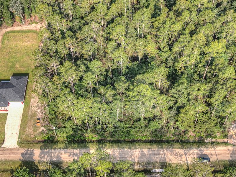 With Power & Gravel Road Access : Hastings : Saint Johns County : Florida